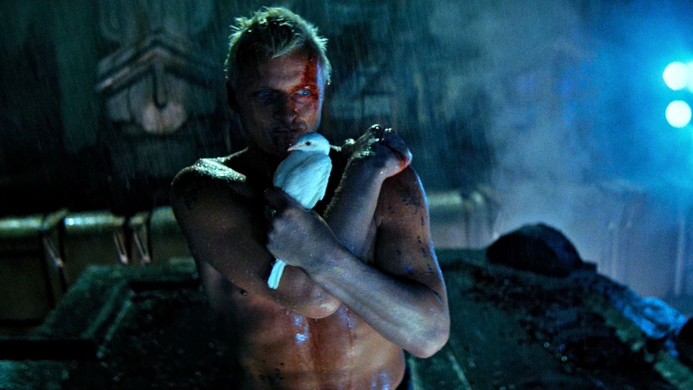 Roy Batty (Rutger Hauer) and the dove in the final rooftop scene of Blade Runner (Ridley Scott, 1982). Film still © Warner Bros. / image published by Chassé Theater.