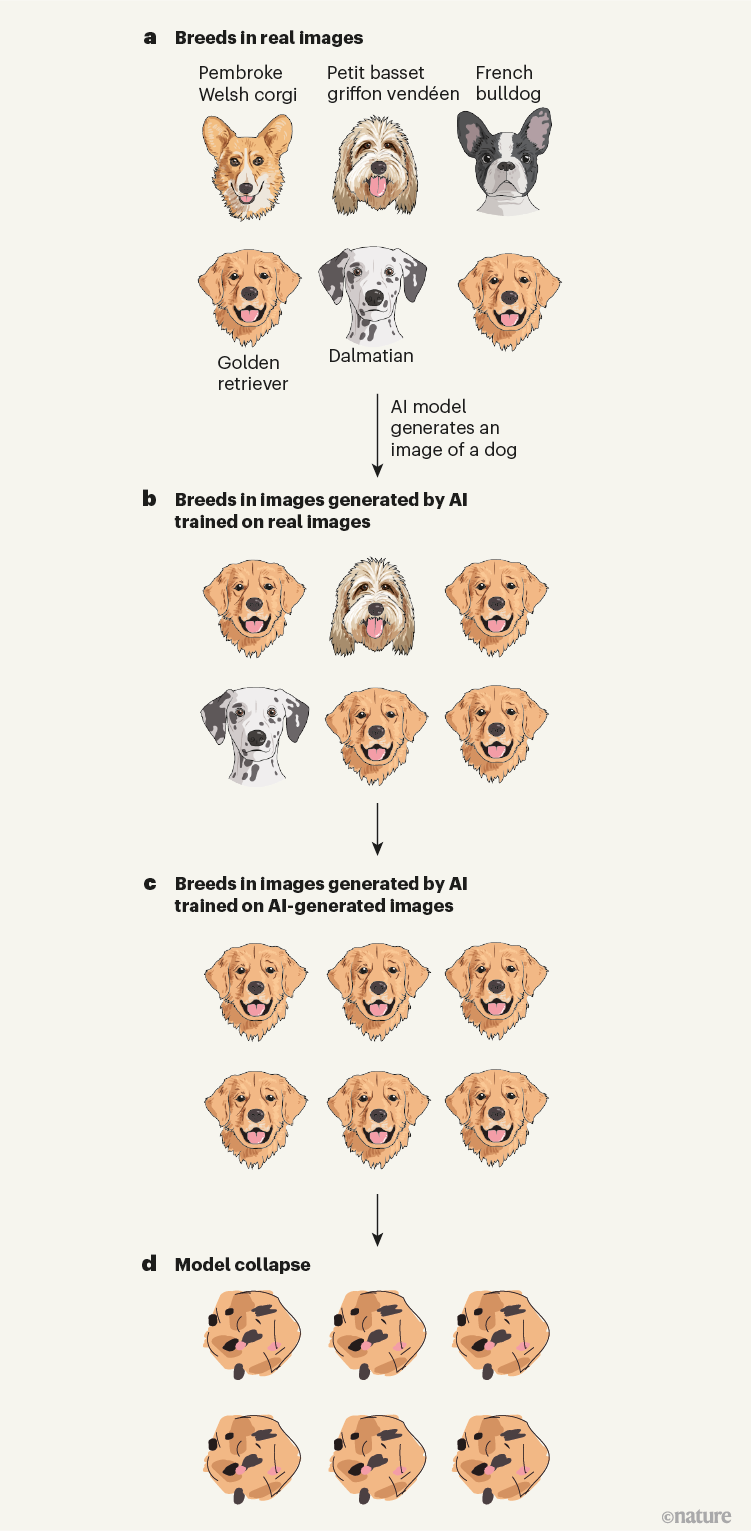 Nature illustration: successive generations of dog images showing loss of diversity. Nature graphic; study credits apply.