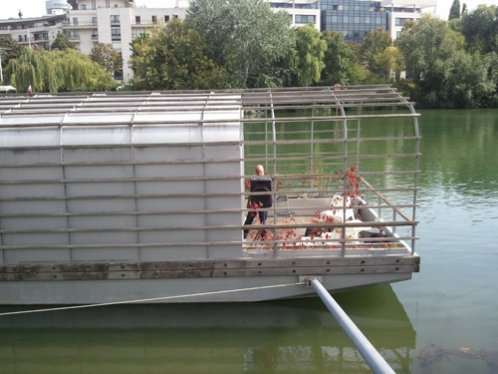 The Cneai floating house, featured by Poptronics. Photograph: Poptronics.