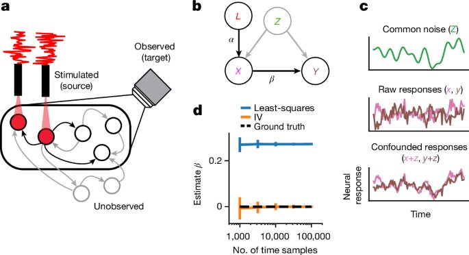From connectome to effectome