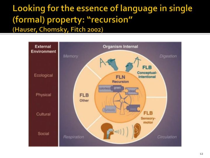 Fitch, Hauser & Chomsky — What’s special about human language?